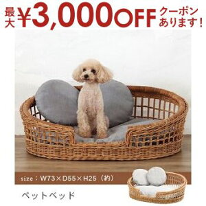 yő3,000~OFFN[|LI5 PT2{Iz ybgJh[ ybgxbh | G ybg Jh[ xbh CeA oXPbg   ^ AWA y R VRf IV 