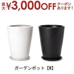 yő3,000~OFFN[|LI5 PT2{IzK[f|bg M 󂯎Mt | Aؔ  O[|bg K[f ϗt|bg   v x mNJ[vcMUO 