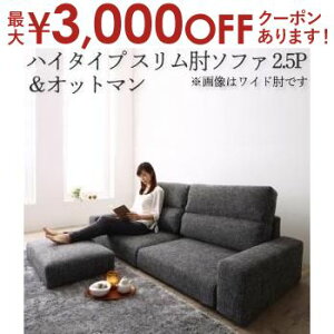 y9/25AXSiPT2{Iő3000~OFFN[|Lz \t@Zbg nC^Cv XIu 2.5P \t@{Ibg} | \t@ \t@[ Sofa rO VvfUC VvJ