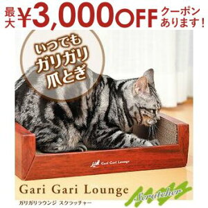 yő3,000~OFFN[|LI30 PT2{IzEW^NE`O^Cv KKEW Lp ܂Ƃ | _{[ L ܂Ƃ ܌ i{[ ߂Ƃ XNb`[ CeA ~