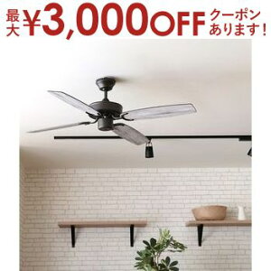 yő3,000~OFFN[|LIPT3{IubNtCf[z V[Ot@ | V[O t@ XΓV a Ebh ^    ubN  Rt _Cj