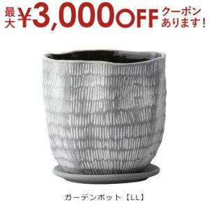 yő3,000~OFFN[|LI1 PT2{IzK[f|bg LL F2Zbg | v^[ TCY K[f|bg |bg  Aؔ v^[ A K[fpi |pi  K[fj