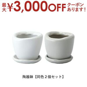 yő3,000~OFFN[|LI30 PT2{Iz픫 F2Zbg | Aؔ  픫 20cm  Vv|bg v^[ K[f|bg |bg  Aؔ v^[ A K