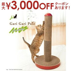 yő3,000~OFFN[|LI5 PT2{IzKK|[ XNb`[ |[^X^fBO^Cv | ܂Ƃ L ܂Ƃ |[ ܂Ƃ 킢 _{[ L ܂Ƃ ܌ i{[