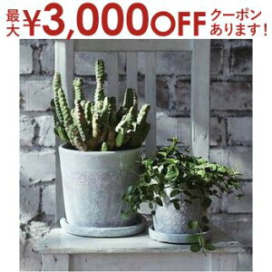 yő3,000~OFFN[|LI30 PT2{IzK[f|bg TCY2Zbg | v^[ Zbg 󂯎Mt A  A O  K[f Aؔ K[fjO |bg v