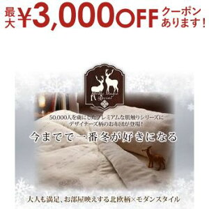 【最大3,000円OFFクーポン有!30日限定 PT2倍!】枕カバー 1枚 |枕カバー ピローケース 43×63cm 枕カバー まくらカバー 暖かい 洗える 可愛い 43×63 静電気防止 まくらカバー 裏面合わせ式 プレミ