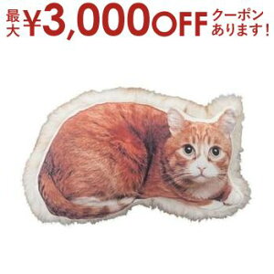 yX[p[Z[Iő3,000~N[|LIXSiP2{IzNbV lR L ˂ L tFCNt@[ Lbg cat t@[ ӂӂ L vg fUC  ANZg I 