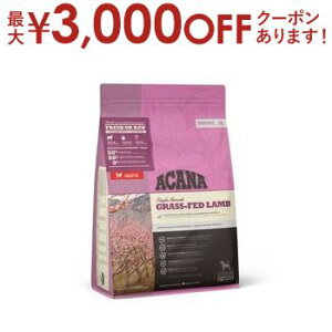 yő3,000~OFFN[|LIPT3{IubNtCf[zAJi Lbg hbO   hbOt[h Lbgt[h ybgt[h  L L ybg  L  hC 