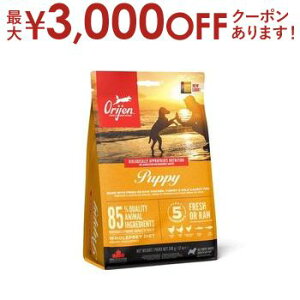 yő3,000~OFFN[|LIPT3{IubNtCf[zIW Lbg hbO   hbOt[h Lbgt[h ybgt[h  L L ybg  L  h