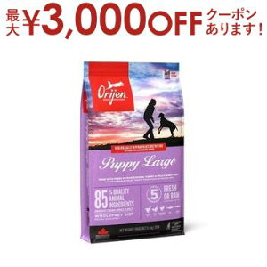 yő3,000~OFFN[|LIPT3{IubNtCf[zIW Lbg hbO   hbOt[h Lbgt[h ybgt[h  L L ybg  L  h