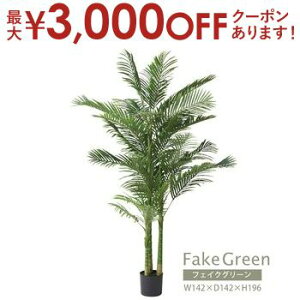 yő3,000~OFFN[|LIPT3{IubNtCf[ztFCNO[ | AJV GRN-19 CeA rO _CjO K[f lHA lH ϗtA  U A R 