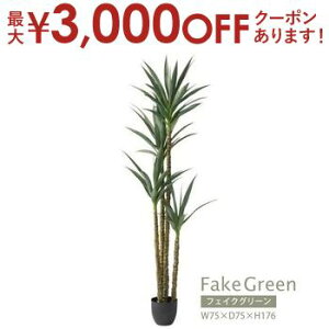 yő3,000~OFFN[|LI15 PT2{IztFCNO[ | AKx GRN-18 CeA rO _CjO K[f lHA lH ϗtA  U A R  s