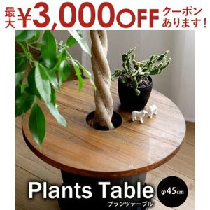 【最大3,000円OFFクーポン有!30日限定 PT2倍!】プランツテーブル | プランターテーブル テーブル サークル45 観葉植物 植木鉢 インテリア ガーデン雑貨 観葉植物台 土隠し 丸 ラウンド 円型 組