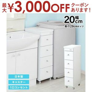 yő3,000~OFFN[|LI5 PT2{IzԃS ܃S ʏ h[ [ 20cm { i LX^[t RZg ʏ h[ X ^ o 