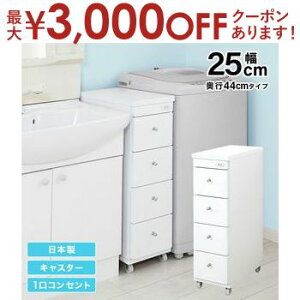 yő3,000~OFFN[|LI30 PT2{IzԃS ܃S ʏ h[ [ 25cm { i LX^[t RZg ʏ h[ X ^ o 