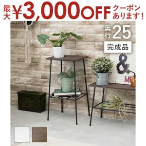 yő3,000~OFFN[|LI30 PT2{IzbN I [bN VFt ؐ X`[ ړI[ I I[vbN rO[ Ƌ [ CeA  Vv _