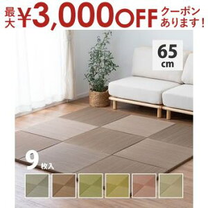 yő3,000~OFFN[|LIPT3{IubNtCf[zJ[̑Iׂyʒu э 9Zbg 65×65×2.5cm u jbg yʃ^Cv tA }bg  a_ a m