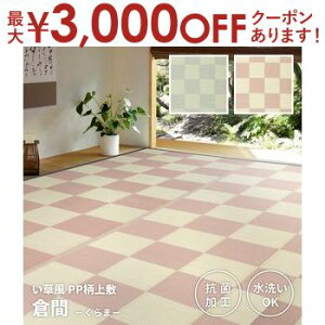 【最大3,000円OFFクーポン有!25日限定 PT2倍!】洗えるい草風カーペット 倉間 本間/抗菌機能付き 10畳 477×382 い草風カーペット ラグ インテリア 家具 日本製 国産 おしゃれ モダン 高級 快適 リ