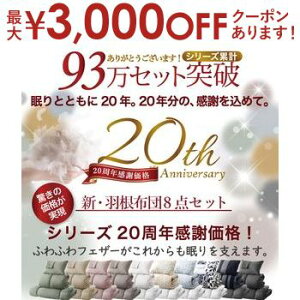 【最大3,000円OFFクーポン有!30日限定 PT2倍!】布団セット 布団 シングル セミダブル ダブル カバー付き 敷き布団 掛け布団 枕 布団カバー 敷布団カバー 収納ケース 一人暮らし 来客用布団セ