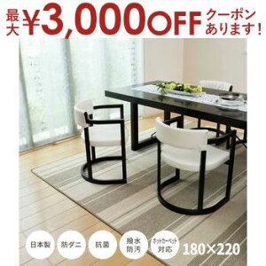 yő3,000~OFFN[|LIPT3{IubNtCf[z_CjOO 180×220cm }[W O { _CjOO J[ybg h_j R ͂ H h ͗lւ  X