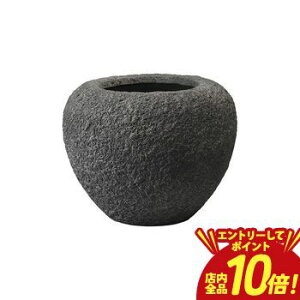 y}\IGg[P10{IXSiP2{IN[|LIzv^[ ^  傫 O ^v^[  a53cm v^[|bg 唫 Aؔ i` 