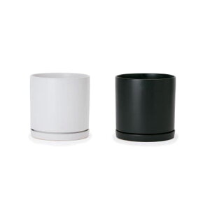 ^v^[ v^[ ^ R zCg  ubN  󂯎Mt 󂯎MtZbg  Aؔ  r ItBX CeA  뉀 |   Vv  傫 