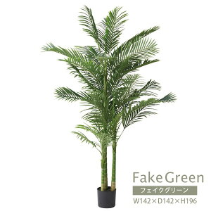 tFCNO[ | AJV GRN-19 CeA rO _CjO K[f lHA lH ϗtA  U A R  Rr^Cv O[ lHϗtA lC Vv