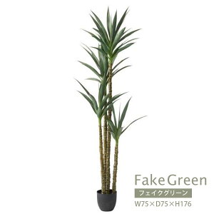 yő3,000~OFFN[|LIPT3{IX[p[SALEztFCNO[ | AKx GRN-18 CeA rO _CjO K[f lHA lH ϗtA  U A R  