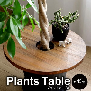 vce[u | v^[e[u e[u T[N45 ϗtA Aؔ CeA K[fG ϗtA yB  Eh ~^ gݗĎ VR TChe[u 45cm ~`e[