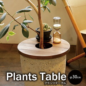 yő3,000~OFFN[|LIPT3{IubNtCf[zvce[u | v^[e[u e[u T[N30 ϗtA Aؔ CeA K[fG ϗtA yB  E