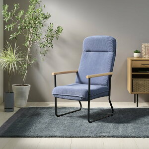 NCjO`FA lp  p[\i`FA ֎q R[fC |PbgRC k ֎q  CX `FA _CjO