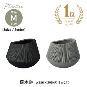 yő3,000~OFFN[|LIPT3{IubNtCf[zGfB Eh  DF F y y ۂ t@Co[Zg v^[ |bg u  ϗtA A Aؔ  OO