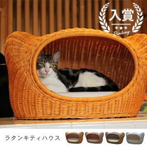  ^LeBnEX | I[nhCh VRfރxbh Lbgxbh Lbg LbgnEX  gE ^ xbh lR ^ NbV  킢