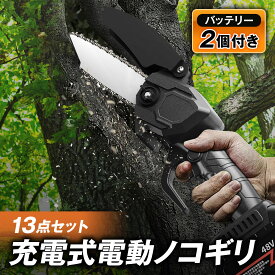 ＼楽天2冠受賞／【1年保証・13点セット!!】 電動ノコギリ チェーンソー 充電式 13点セット 6インチ 【最強配送対応で最短翌日到着！】 バッテリー2個付き 充電式チェーンソー ハンディチェーンソー 軽量 コンパクト ノコギリ 電動のこぎり 電動チェーンソー PSE認証済み
