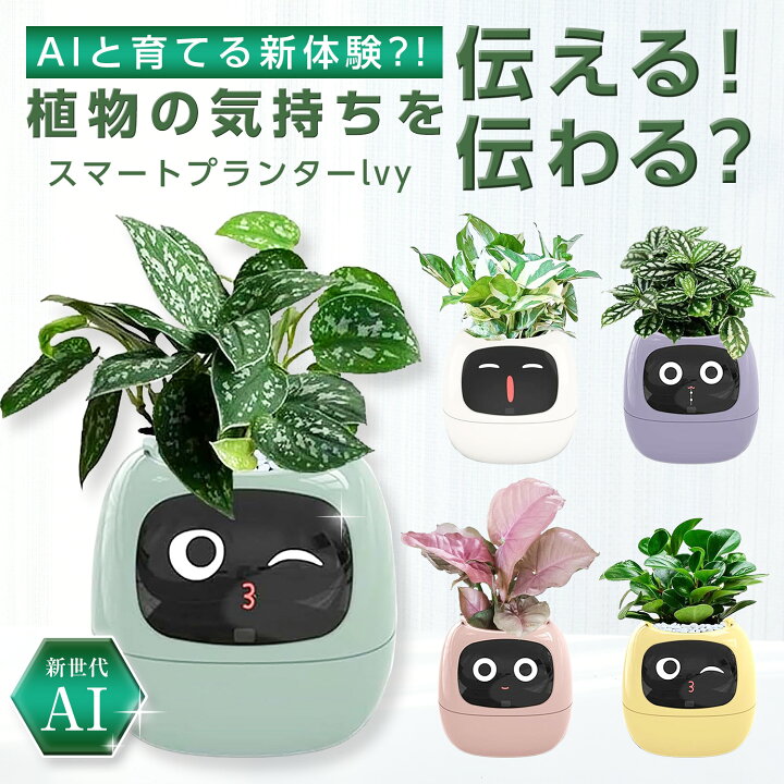 楽天市場】プレゼント、ギフトに喜ばれる!! 家族のような大切な存在に 