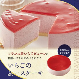 いちごのムースケーキ 冷凍庫で1か月保存可能 移動販売 監修 アンジュブラン 冷凍ケーキ アイス ケーキ 冷凍スイーツ 洋菓子 スイーツギフト 家庭用 ギフト