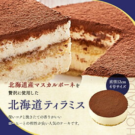 北海道ティラミス 冷凍庫で1か月保存可能 移動販売 監修 アンジュブラン 冷凍ケーキ アイス ケーキ 冷凍スイーツ 洋菓子 スイーツギフト 家庭用 ギフト