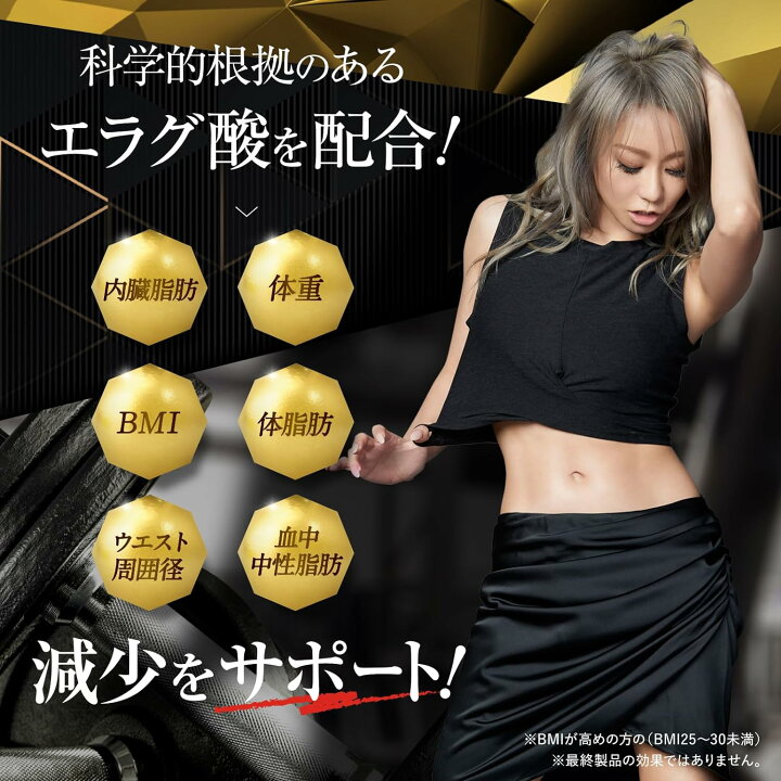 楽天市場】KILLER BURNERII キラーバーナー2 エラグ酸 ダイエット 機能 
