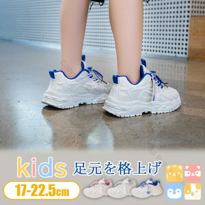 17cm-22.5cmqC Xj[J[  WjA LbY W[X ̎q j̎q ^C X|[c y _炩 ~ ANAV[Y  ʉ ʊw 17/18/19/20/21/22TCYΉ