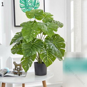 lH~ lHϗtA 70cm Xe A ^ oii̗t tFCNO[ tFCNA bsv ͂ȂO[ tFCNA k CeA  O j ̓ 