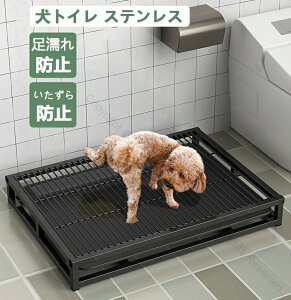 o pgC XeX| @\t ^p ybggC 􂦂 h~ ^Ή 54x37x9CM |ȒP g[jOpbhz_[ oX[p Ђ