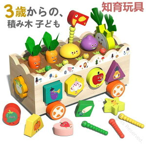 おもちゃ 知育玩具 魚釣り 可愛い 木のおもちゃ 出産祝い 1歳 2歳 3歳 男 女 誕生日 ギフト クリスマス プレゼント 遊び 3歳 男の子 5歳 4歳 ブロック 子供 小学生 幼稚園児 女の子 積み木 入園