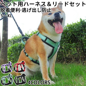  lRn[lX Lp ^ ^ ^Ή  EȂbNt  pnh ybgU⏕ ́[˂ qL Lp L [h lRlR Ck `