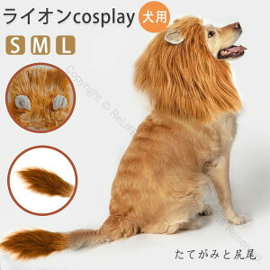 pCÎĂ݃EBbO CÎĂ݌̈ߑ ^pybgEBbO pCÎĂ݂ƐK nEBp[eB[ ybgp[eB[ ap[eB[  