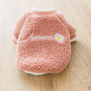  킢H~hbOEFA gCv[h ^^p ȃybg  L Z[i ʂȃfUC Kf ۉQ̖h΍ H~K{ACe