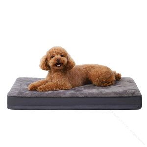 VjA xbh  ̈U  xbh 􂦂 pxbh h ybgxbh  NbV lp`  P[Wp ʋC OJo[ ~ ^ ^ V q L