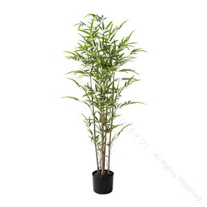 ^| lHϗtA ^ tFCNO[ Aȗt 0.6m 1.2m 1.5m  CeAp ΂̎ӏ܌ S҂ɂœKȍiO[