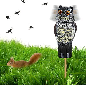 悯tNE tNE̒u Ԏ 蓮phwbh 360x]  x_  lY~ȂǏǂo hhb΍ XY JX Nh qh 悯 ΍