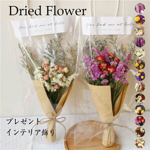 a LO Mtgp Ǌ| CeA Ƃ̑ɍœK lHϗtA vU[uht[ t[ ݑ e KN  u[P ԑ lC