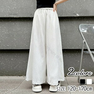 Chpc ̎q q qǂ ǂ LbY qp WjA pc t H ~ 120 130 140 150 160 170 n Vvœ₷fUC̃JWA{gX